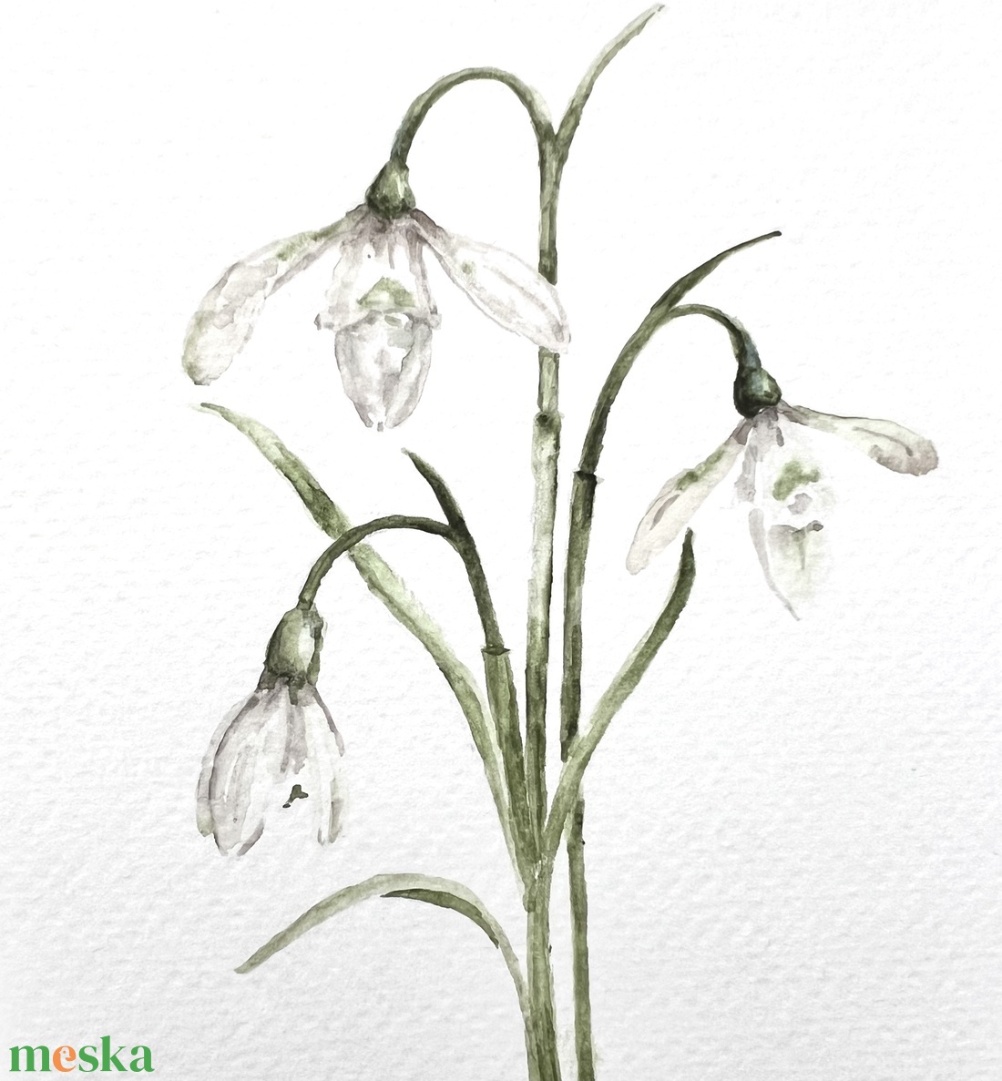 Eredeti akvarell  hóvirág  festmény - művészet - festmény - akvarell - Meska.hu
