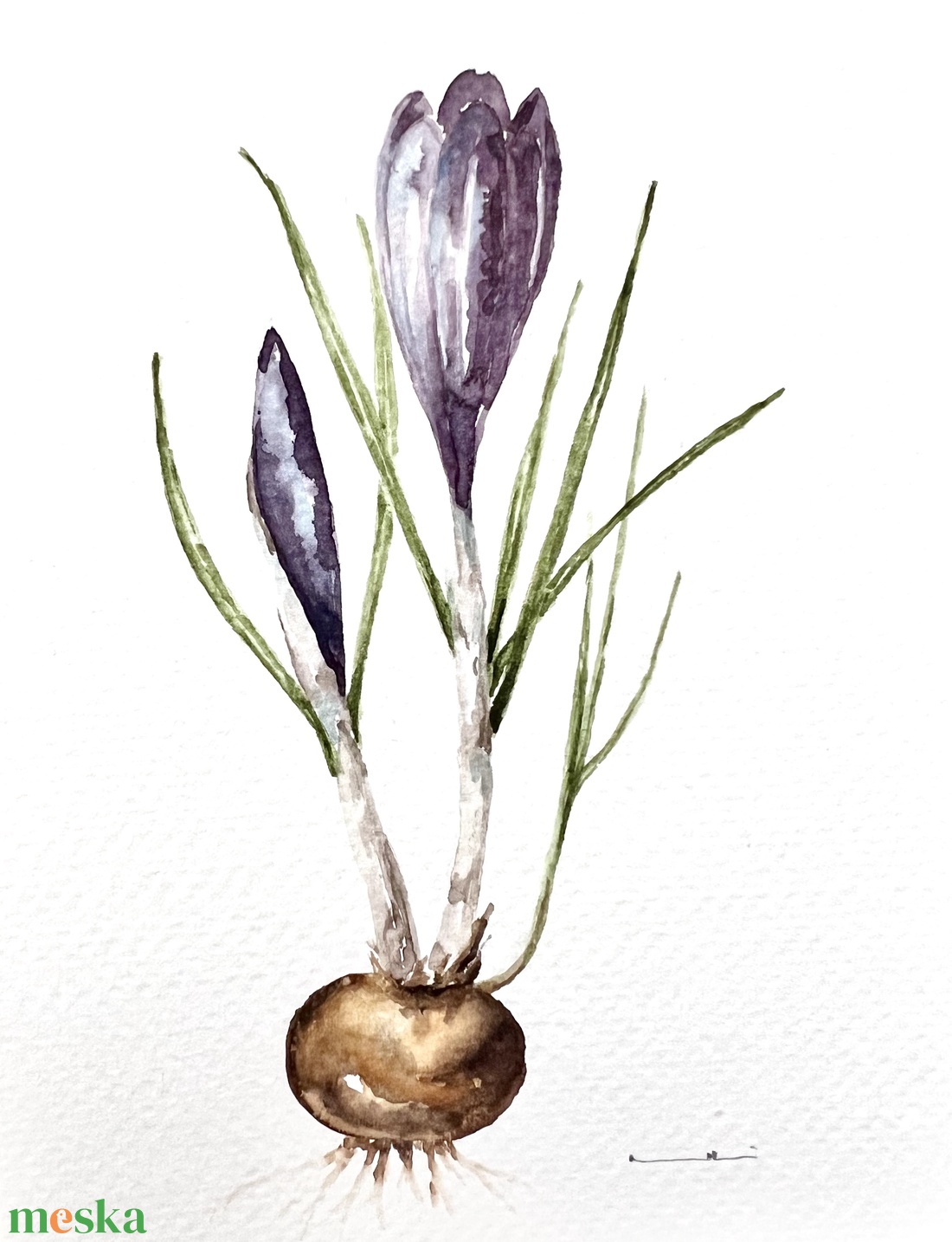 Eredeti akvarell  lila krókusz virág festmény - művészet - festmény - akvarell - Meska.hu