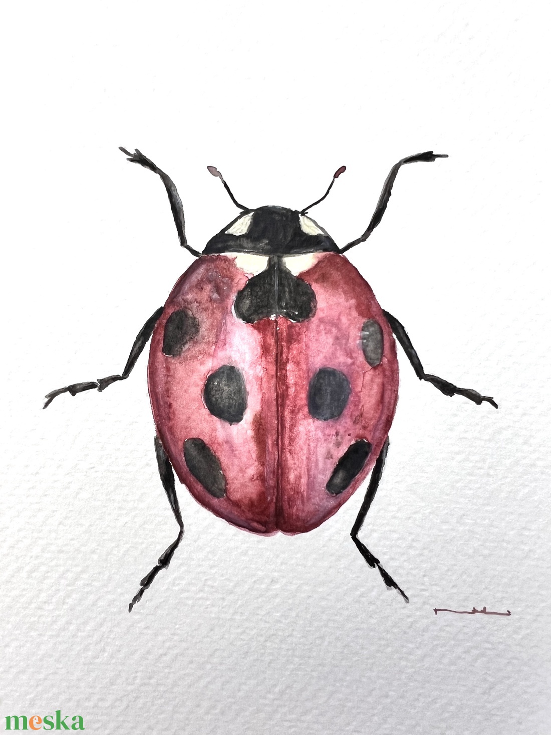 Eredeti akvarell katica festmény - művészet - festmény - akvarell - Meska.hu