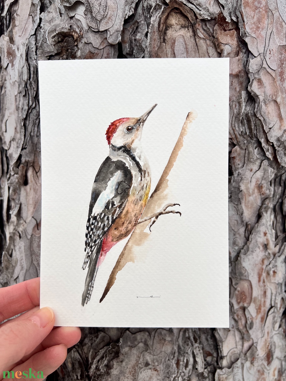 Eredeti akvarell harkály festmény - művészet - festmény - akvarell - Meska.hu