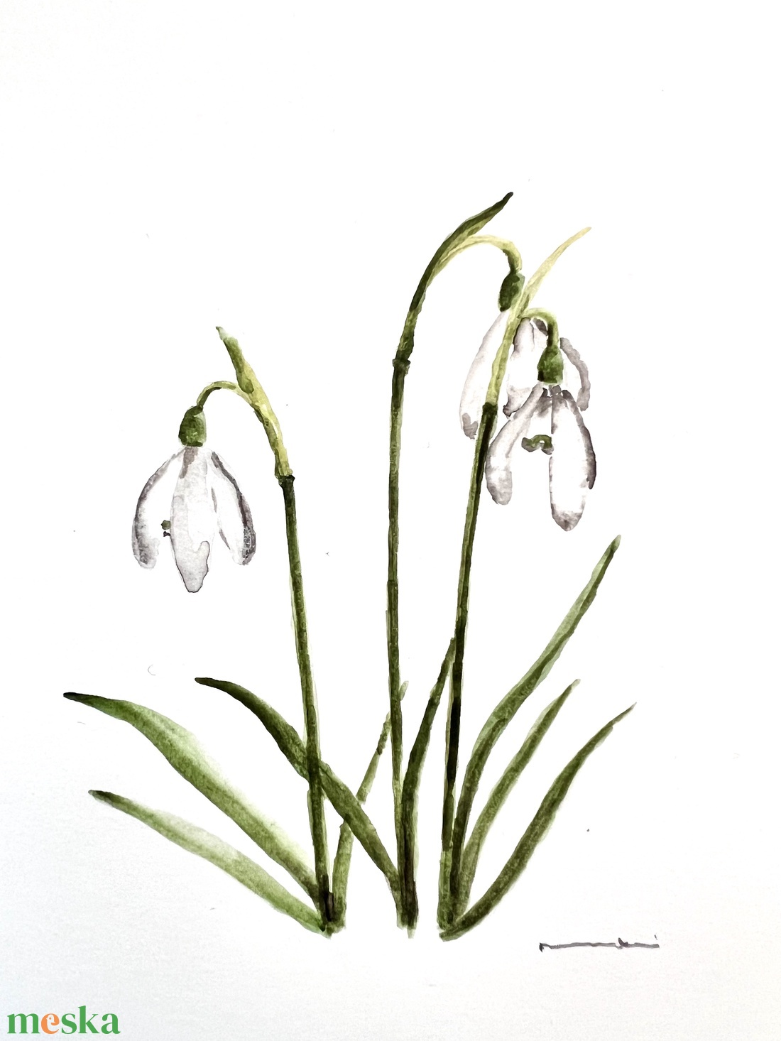 Eredeti akvarell  hóvirág  festmény - művészet - festmény - akvarell - Meska.hu