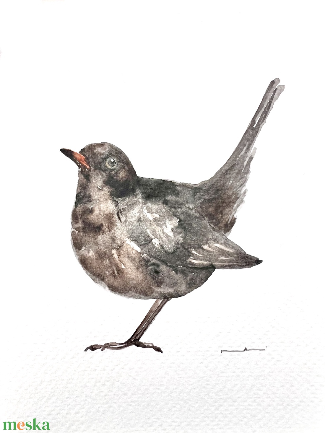 Eredeti akvarell feketerigó madár festmény - művészet - festmény - akvarell - Meska.hu