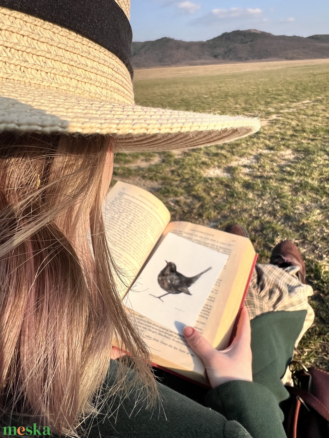 Eredeti akvarell feketerigó madár festmény - művészet - festmény - akvarell - Meska.hu