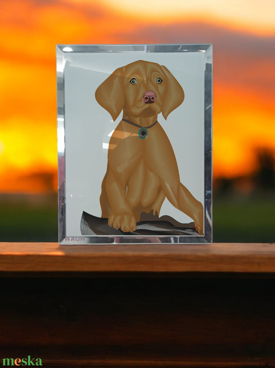  Üvegkép, Fotóüveg Vizsla  - otthon & életmód - dekoráció - kép & falikép - üvegkép - Meska.hu