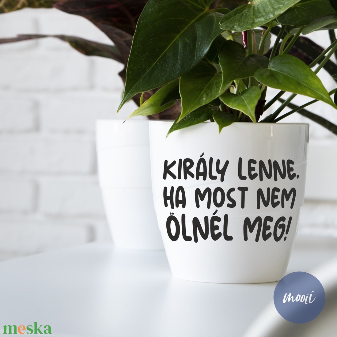 Király lenne, ha most nem ölnél meg! - vicces szobanövény felirat, matrica, öntapadó - kellékek & szerszámok - dekorációs kellékek - matricaív - Meska.hu Király lenne, ha most nem ölnél meg! - vicces szobanövény felirat, matrica, öntapadó - kellékek & szerszámok - dekorációs kellékek - matricaív - Meska.hu