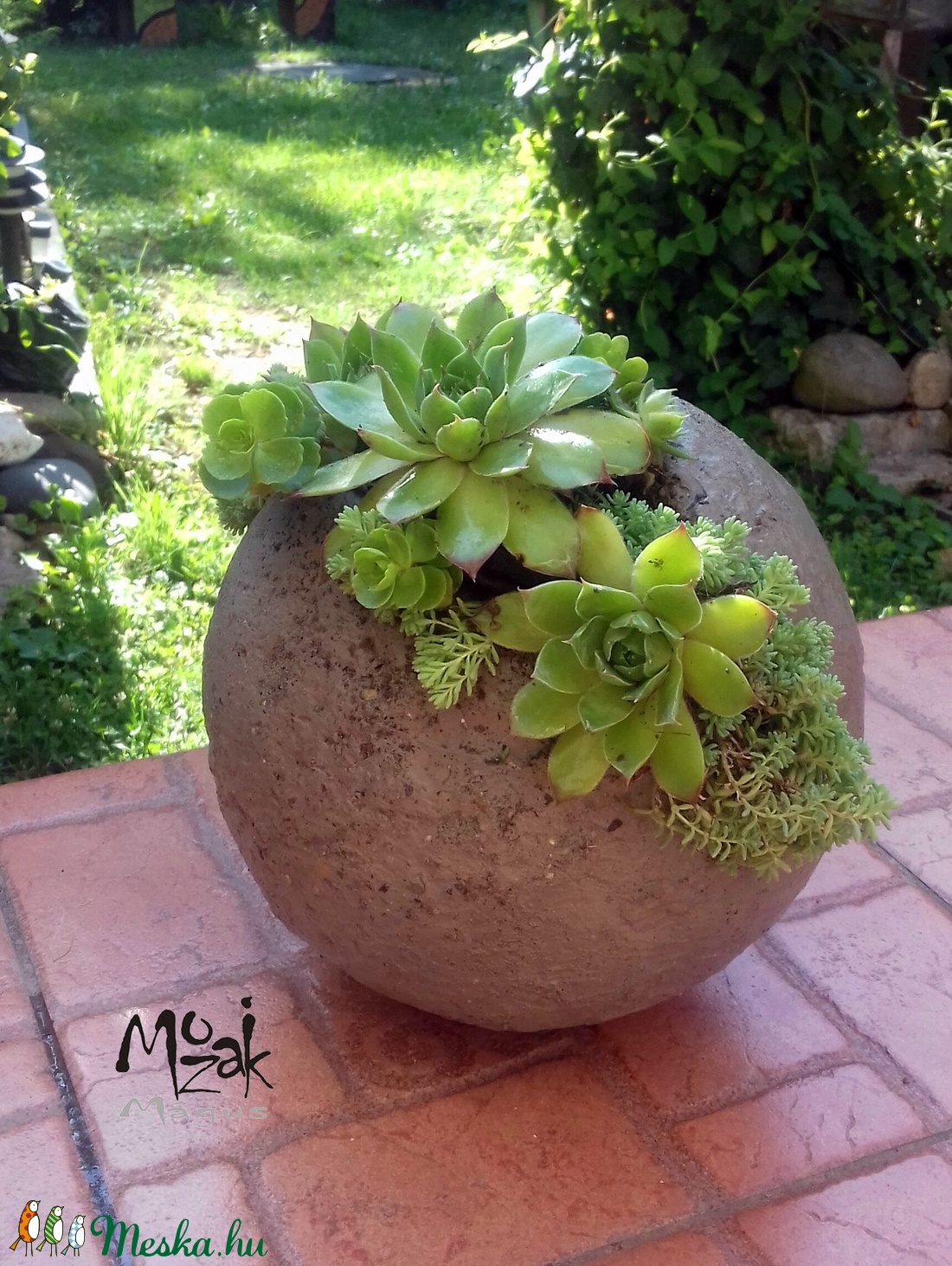 Kövirózsák rusztikus 20cm-es beton gömbben - - Meska.hu Kövirózsák rusztikus 20cm-es beton gömbben - - Meska.hu