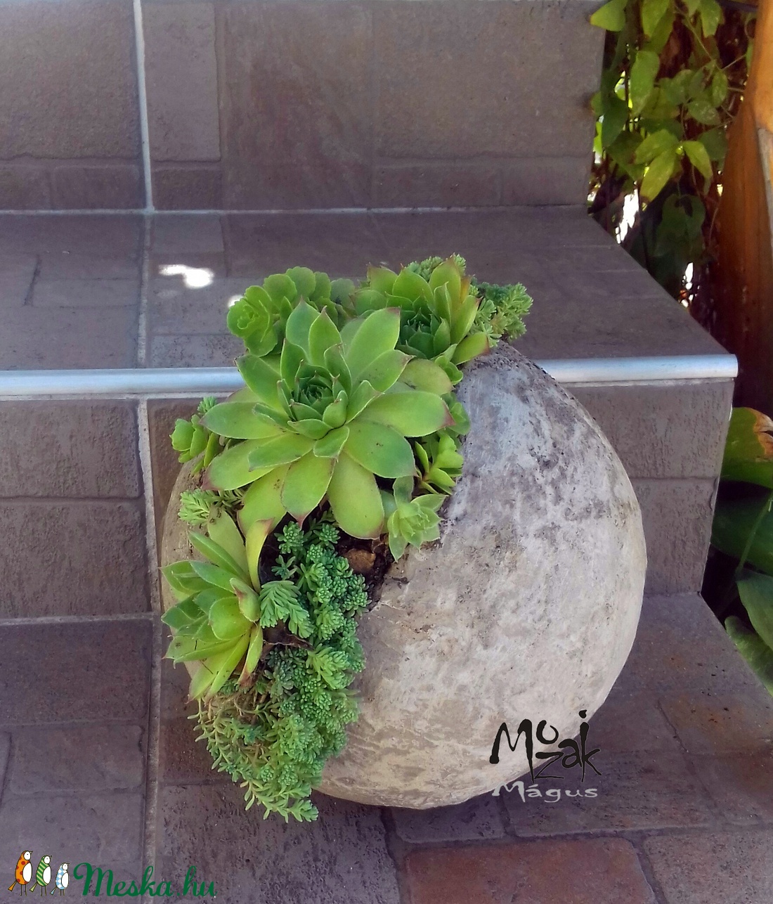 Kövirózsák rusztikus 20cm-es beton gömbben - - Meska.hu Kövirózsák rusztikus 20cm-es beton gömbben - - Meska.hu