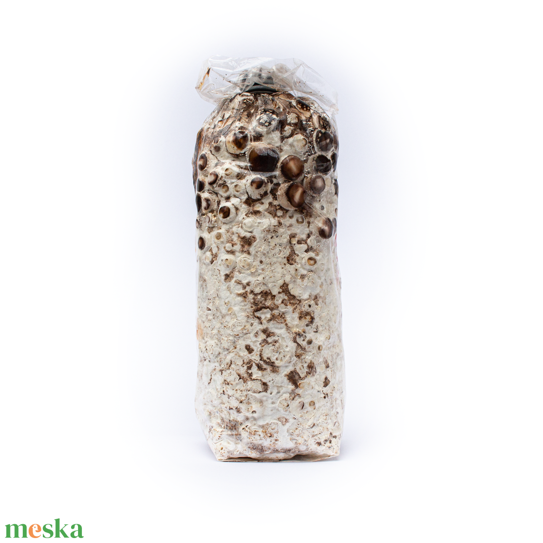 Kolonizálásra váró/kolonizált, otthoni shiitake gomba termesztő blokk - diy (csináld magad) - egységcsomag - Meska.hu Kolonizálásra váró/kolonizált, otthoni shiitake gomba termesztő blokk - diy (csináld magad) - egységcsomag - Meska.hu