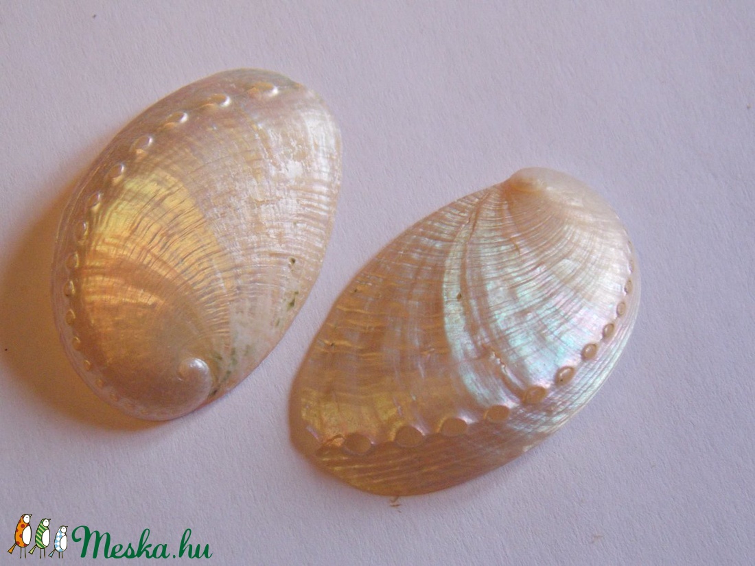 Abalone tengeri kagylóhéj - kellékek & szerszámok - gyöngyfűzés kellékek - egyéb alkatrész - Meska.hu Abalone tengeri kagylóhéj - kellékek & szerszámok - gyöngyfűzés kellékek - egyéb alkatrész - Meska.hu