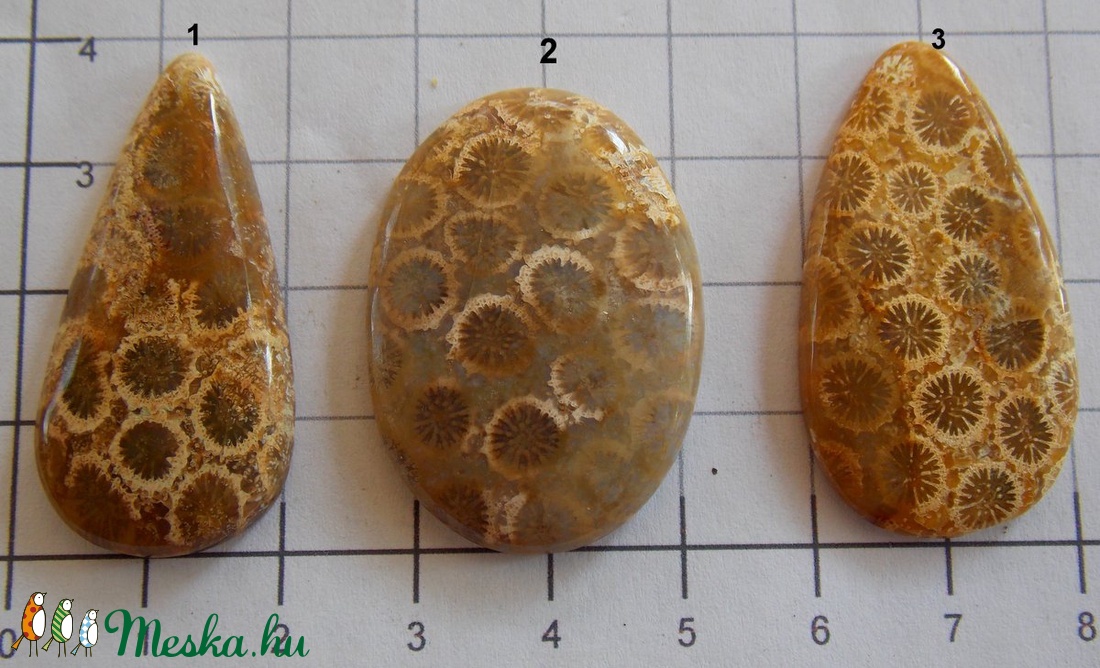 Natural Teleflora Fossil Coral 10 - gyöngy, ékszerkellék - cabochon - Meska.hu
