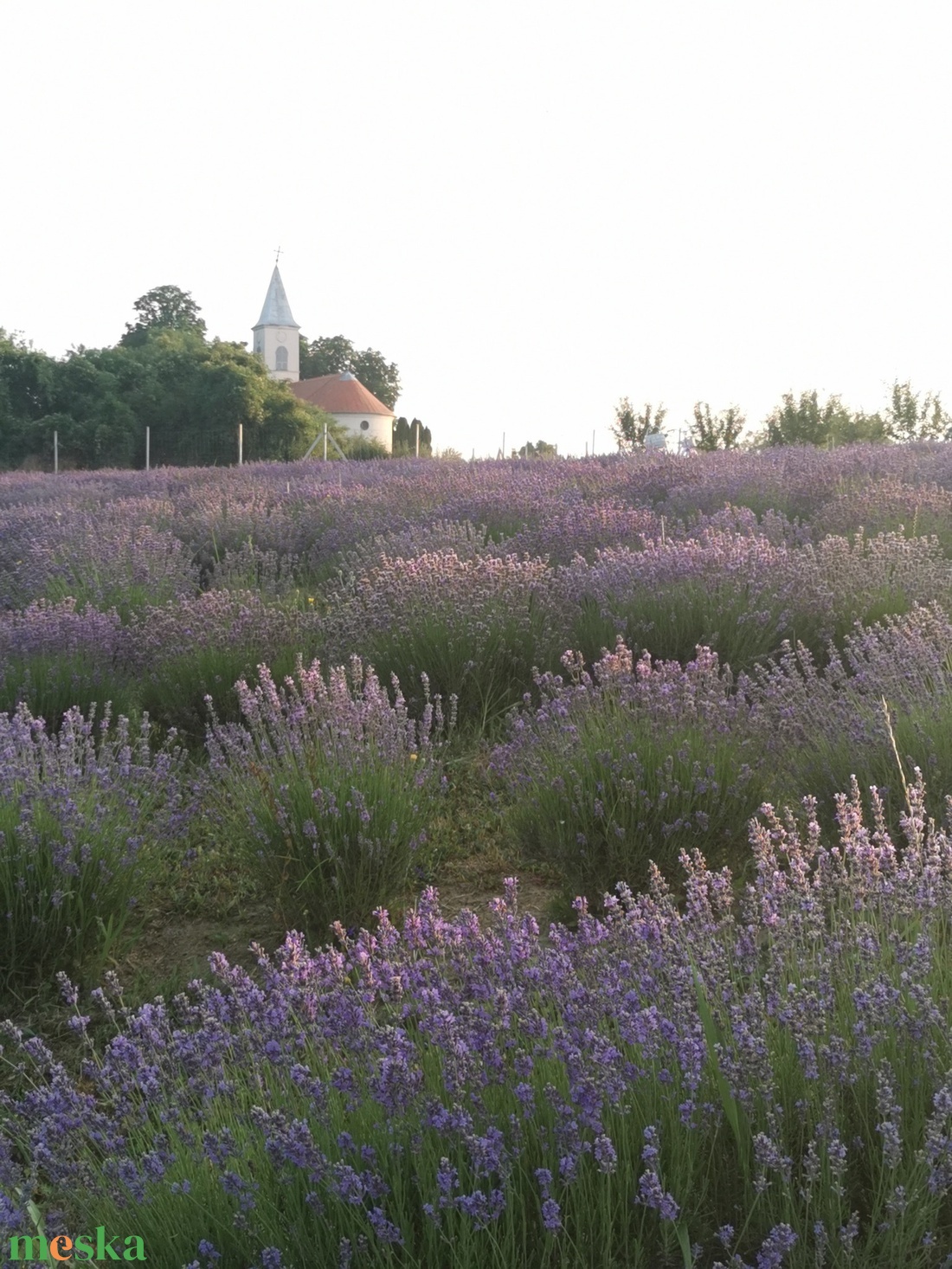 Levendula Hidrolátum 250ml - szépségápolás - levendulavíz - Meska.hu