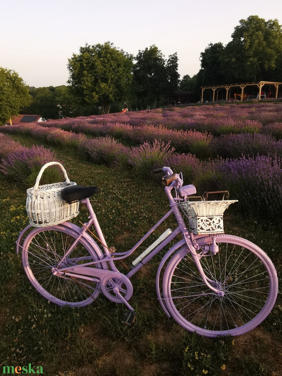 Kistermelői Kézműves Bodzaszörp  500ml - élelmiszer - szörp - Meska.hu