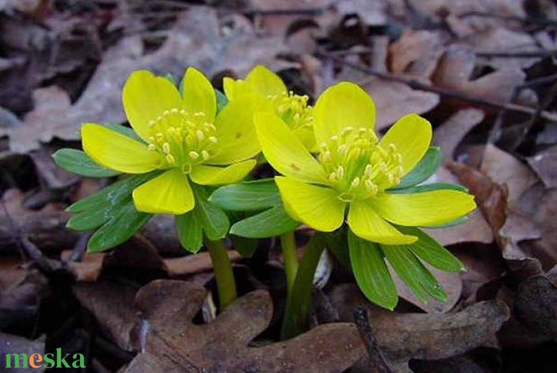 Moha labirintus karkötő - ékszer - karkötő - karperec - Meska.hu