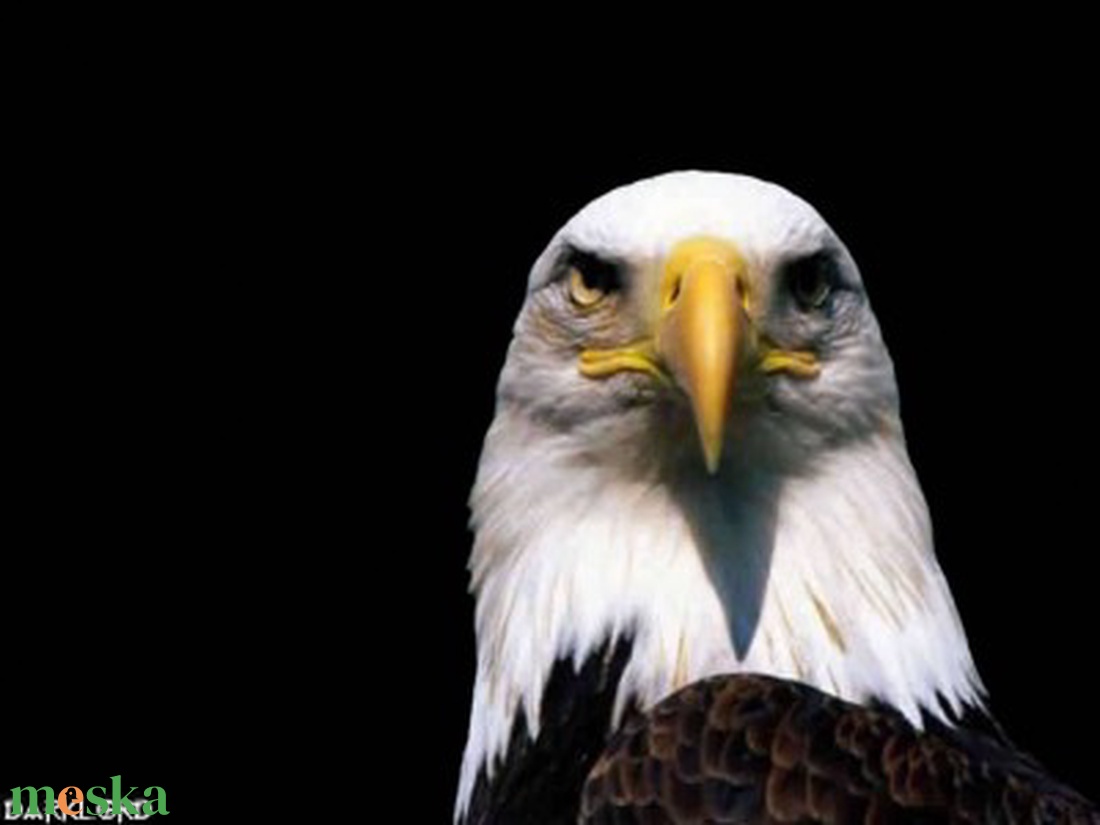 Sas madaras kulcstartó - táska & tok - kulcstartó & táskadísz - kulcstartó - Meska.hu