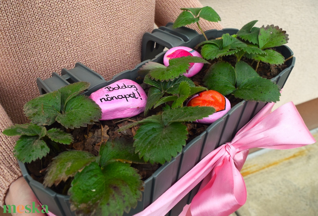 Nőnapi cserepes eper balkonládában - otthon & életmód - ház & kert - virágláda, balkonláda - Meska.hu