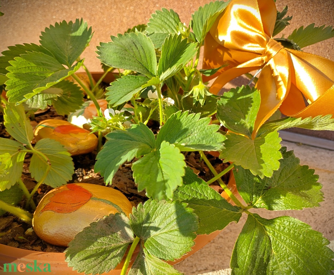 Cserepes eper dekoratív kövekkel - otthon & életmód - ház & kert - virágláda, balkonláda - Meska.hu