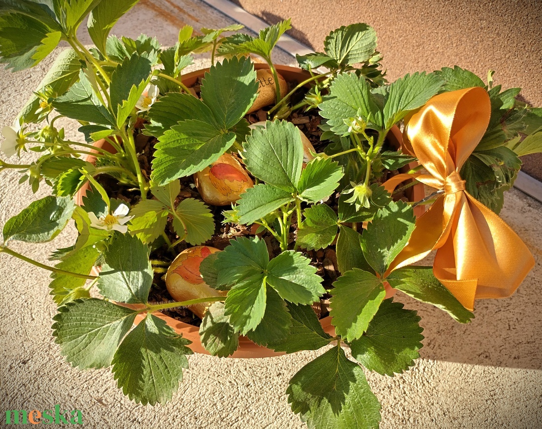 Cserepes eper dekoratív kövekkel - otthon & életmód - ház & kert - virágláda, balkonláda - Meska.hu