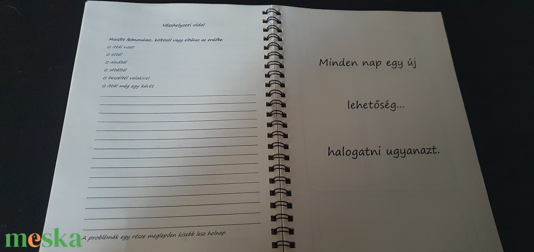 Túlélő napló - otthon & életmód - papír, írószer - jegyzetfüzet & napló - Meska.hu
