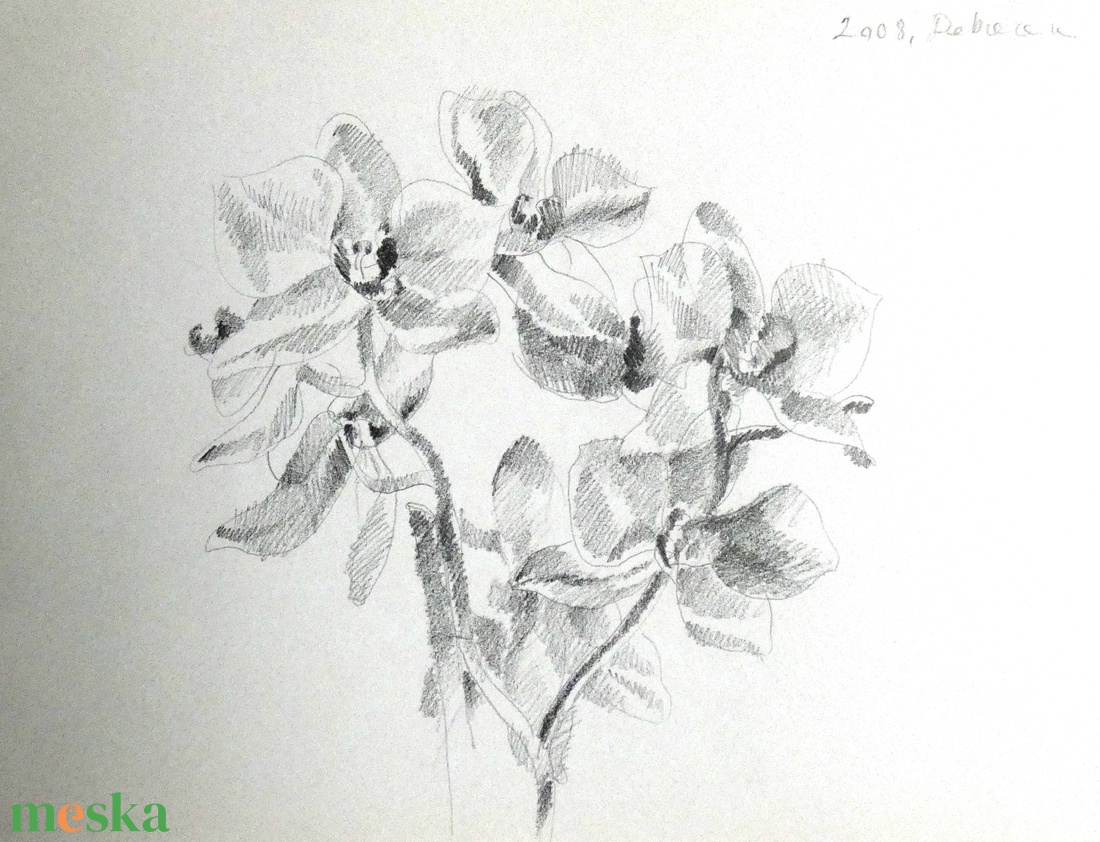 Orchideák ceruzarajz - művészet - grafika & illusztráció - ceruzarajz - Meska.hu
