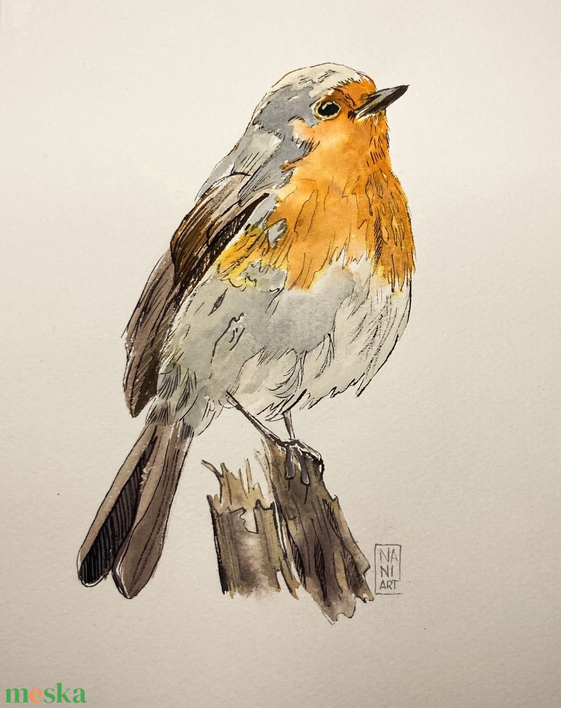 Akvarellkép - Vörösbegy  - művészet - festmény - akvarell - Meska.hu