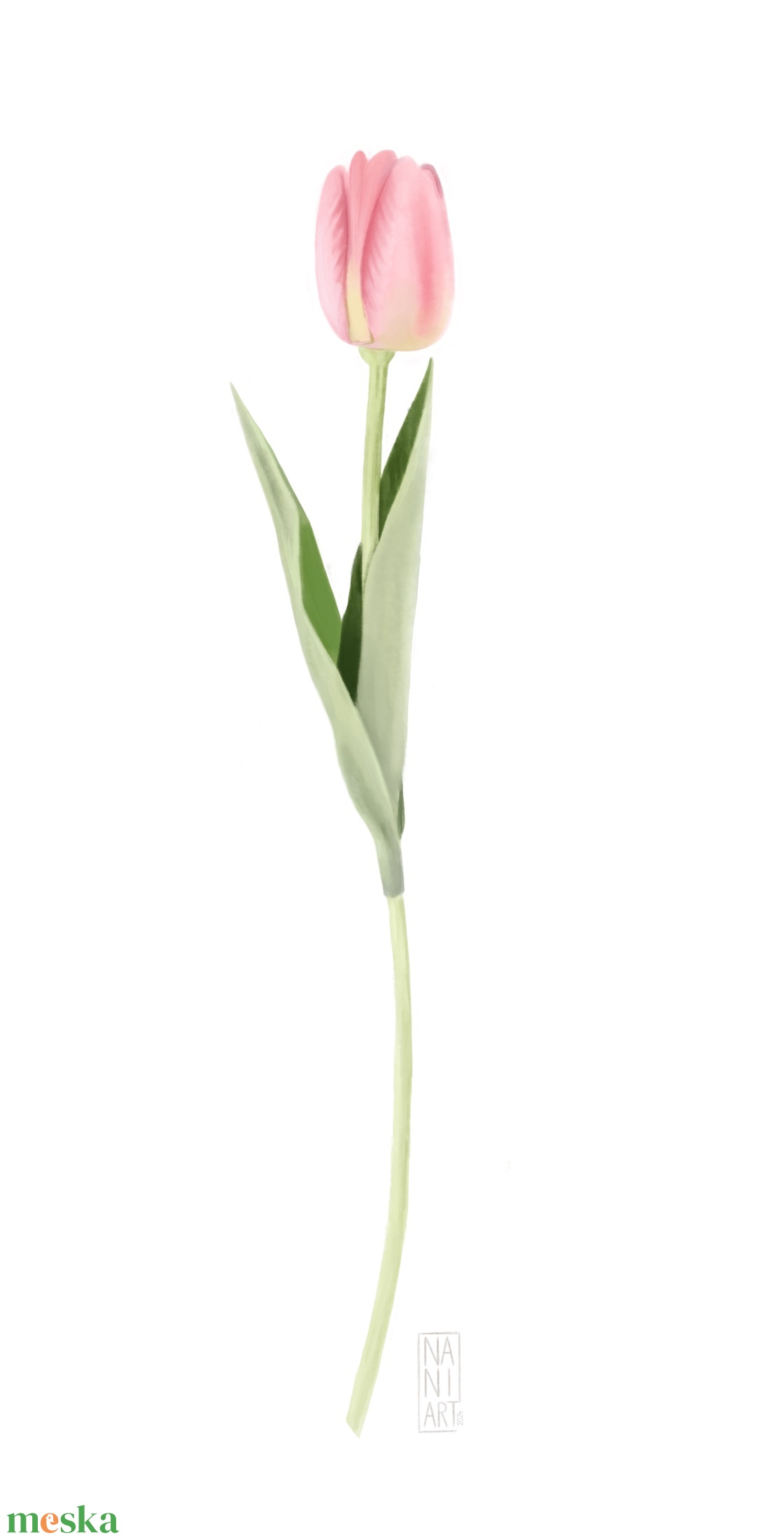 Tulipán - Akvarell hatású digitális grafika - művészet - grafika & illusztráció - digitális - Meska.hu Tulipán - Akvarell hatású digitális grafika - művészet - grafika & illusztráció - digitális - Meska.hu