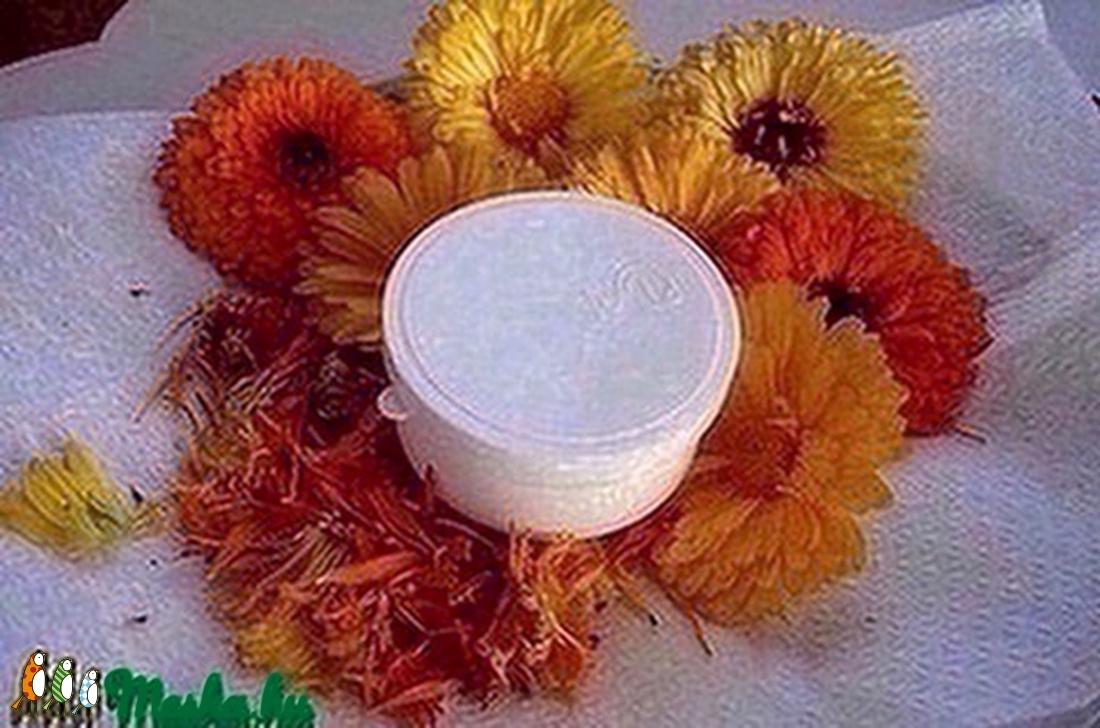 Szem környék ápoló balzsam, acmellával 20 ml - szépségápolás - arcápolás - arckrém - Meska.hu
