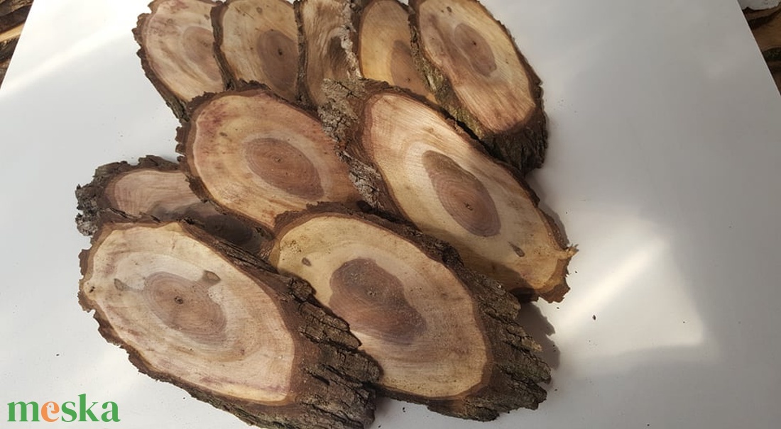 Szilfa szeletek - kellékek & szerszámok - hobby fa alapanyag - egyéb fatermék - Meska.hu