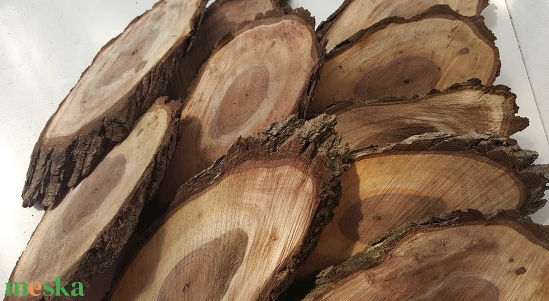 Szilfa szeletek - kellékek & szerszámok - hobby fa alapanyag - egyéb fatermék - Meska.hu