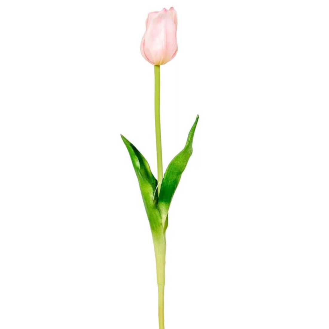Szálas gumi tulipán - rózsaszín - kellékek & szerszámok - dekorációs kellékek - virágfej - Meska.hu Szálas gumi tulipán - rózsaszín - kellékek & szerszámok - dekorációs kellékek - virágfej - Meska.hu