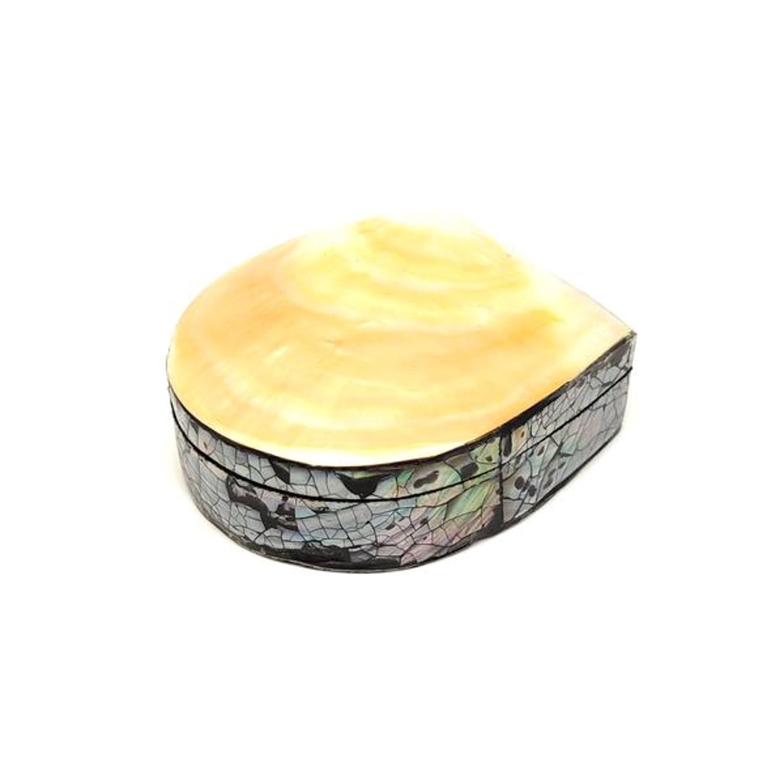 Kagyló ékszertartó doboz sárga-fehér nyárias dizájn 87 cm - ékszer - ékszertartó - ékszerdoboz - Meska.hu