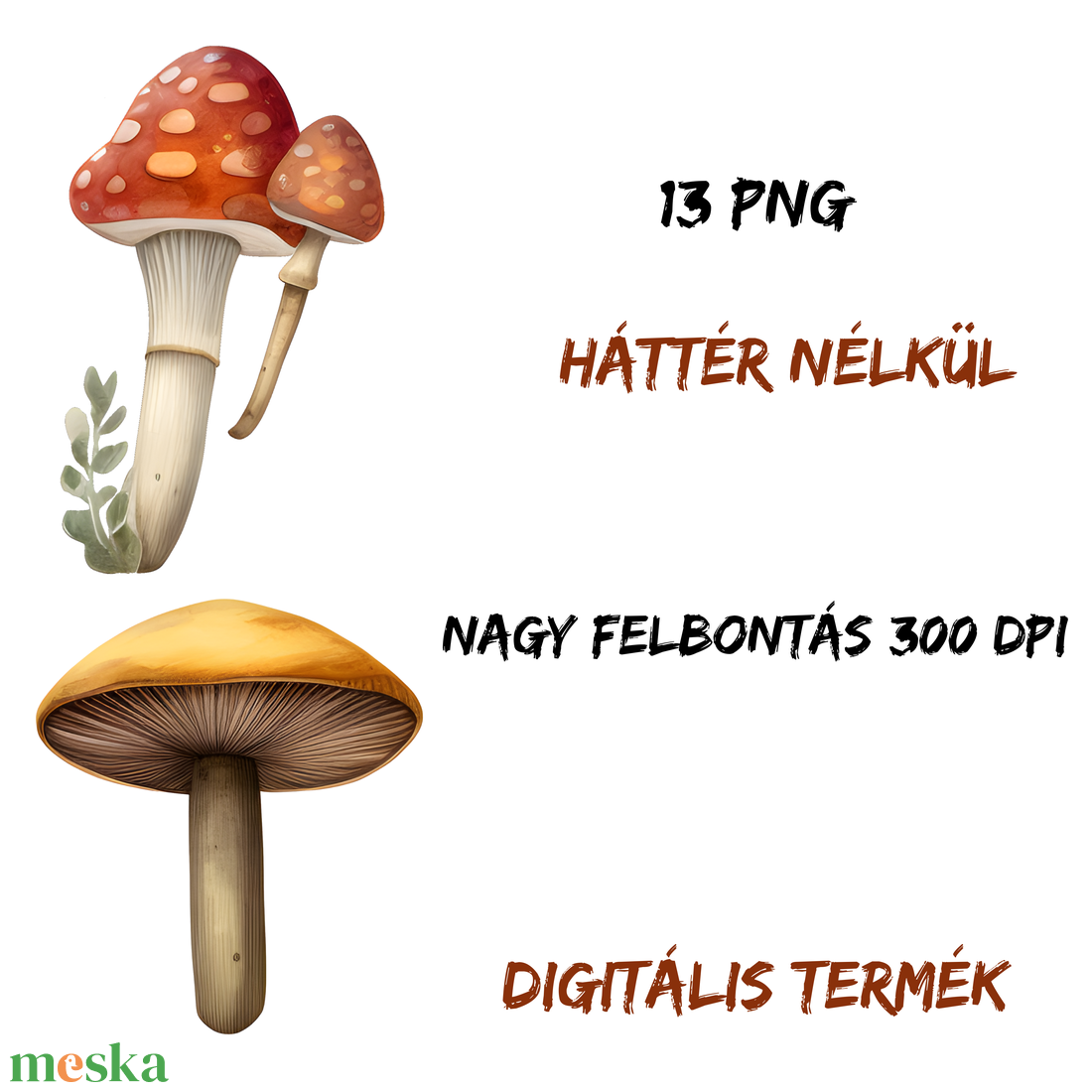 Őszi gombák clipart - 2 - művészet - grafika & illusztráció - digitális - Meska.hu
