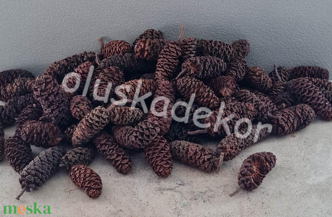 Éger indiai, termés, dekor, natúr és színes, 50gr./cs. - kellékek & szerszámok - dekorációs kellékek - egyéb kellékek - Meska.hu Éger indiai, termés, dekor, natúr és színes, 50gr./cs. - kellékek & szerszámok - dekorációs kellékek - egyéb kellékek - Meska.hu