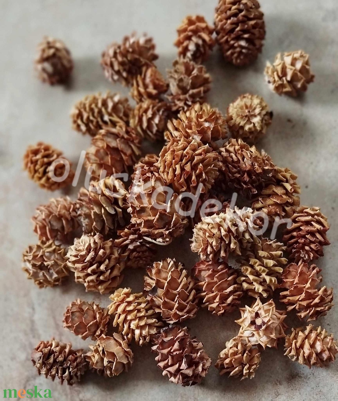Salignum, natúr és színes, termés, száraztermés, dekor, 30gr/cs. - kellékek & szerszámok - dekorációs kellékek - egyéb kellékek - Meska.hu