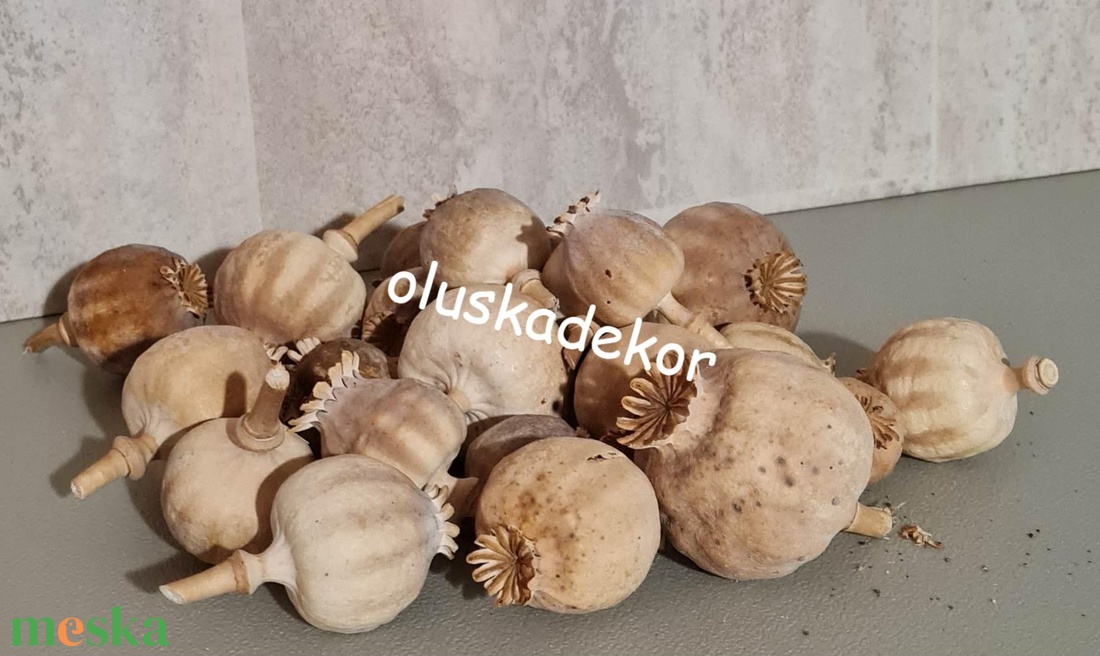 FN-7144. Mákfej, natúr, mák  8db/cs.  - kellékek & szerszámok - dekorációs kellékek - egyéb kellékek - Meska.hu