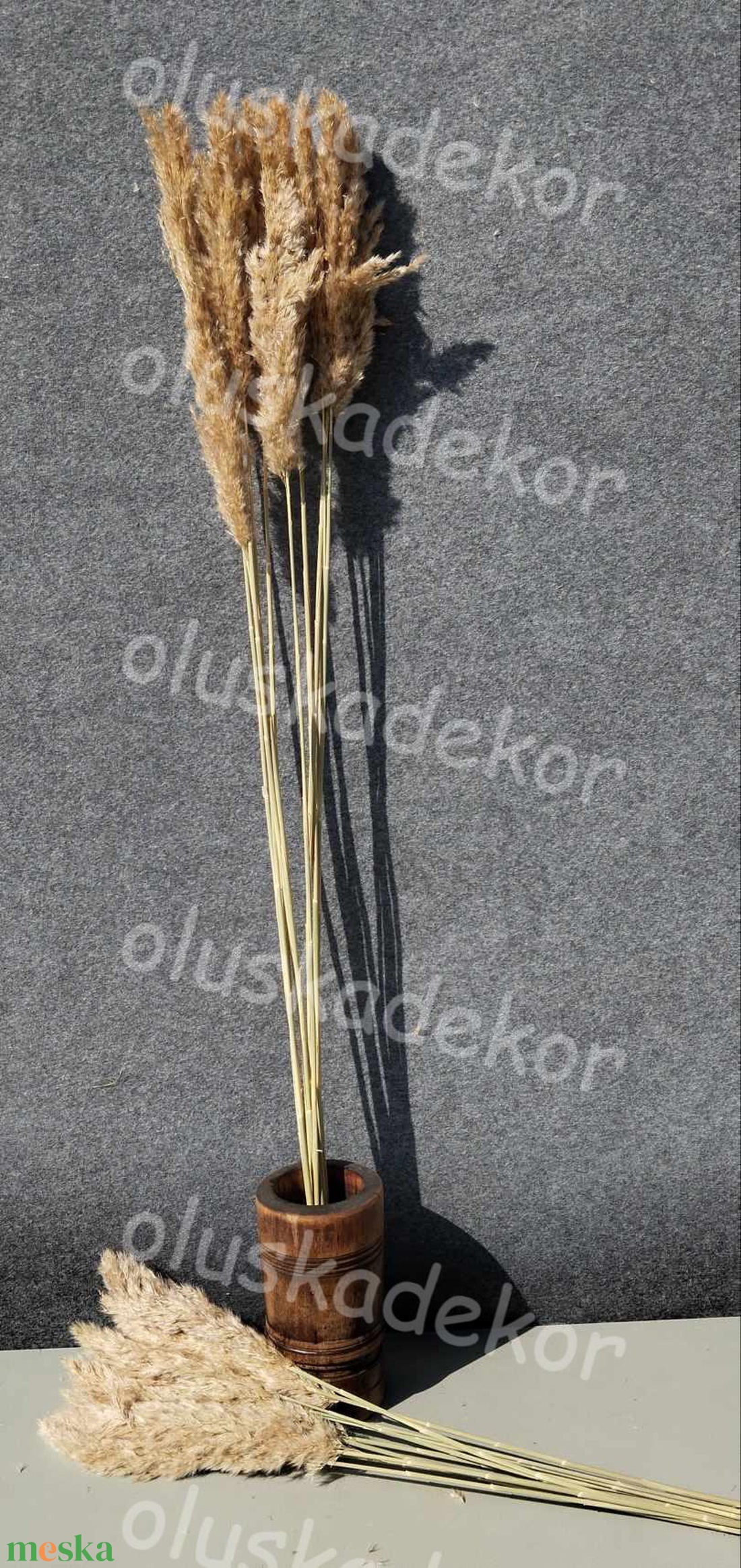 Pampafű, natúr, 100cm, 20 - 35cm buga, dekor, szárított növény - kellékek & szerszámok - dekorációs kellékek - egyéb kellékek - Meska.hu Pampafű, natúr, 100cm, 20 - 35cm buga, dekor, szárított növény - kellékek & szerszámok - dekorációs kellékek - egyéb kellékek - Meska.hu