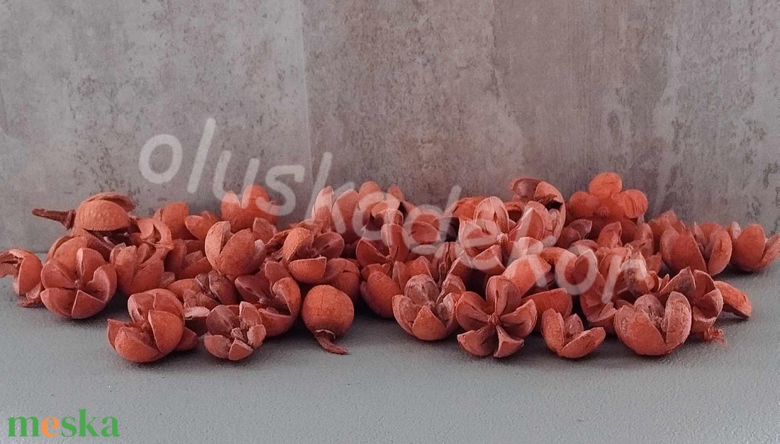 Tulipán termés, Chiruni - kellékek & szerszámok - dekorációs kellékek - egyéb kellékek - Meska.hu