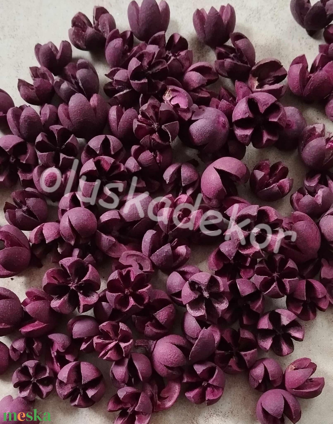 Tulipán termés, Chiruni - kellékek & szerszámok - dekorációs kellékek - egyéb kellékek - Meska.hu