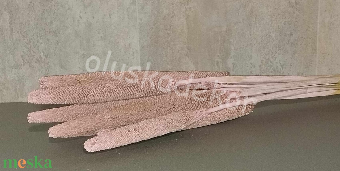 Babala, dekor, száraznövény, natúr és színes, esküvői dekoráció - kellékek & szerszámok - dekorációs kellékek - egyéb kellékek - Meska.hu