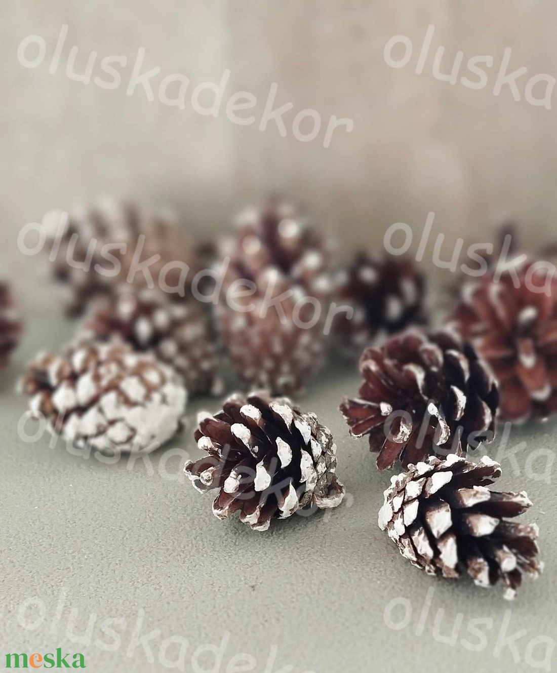 Rózsatoboz, natúr, falfestékes, dekornövény, száraztermés, több színben - kellékek & szerszámok - dekorációs kellékek - toboz - Meska.hu Rózsatoboz, natúr, falfestékes, dekornövény, száraztermés, több színben - kellékek & szerszámok - dekorációs kellékek - toboz - Meska.hu