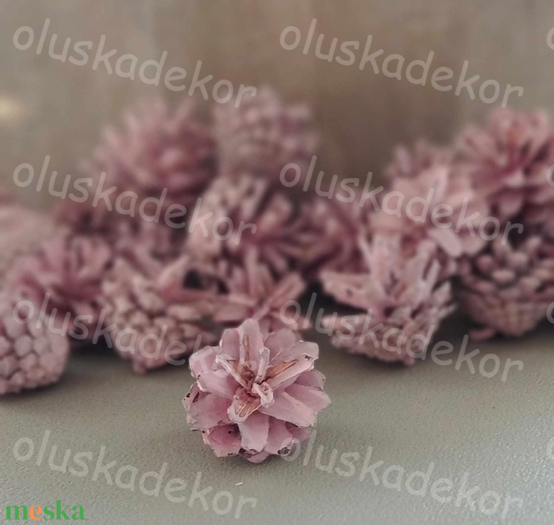 Rózsatoboz, natúr, falfestékes, dekornövény, száraztermés, több színben - kellékek & szerszámok - dekorációs kellékek - toboz - Meska.hu Rózsatoboz, natúr, falfestékes, dekornövény, száraztermés, több színben - kellékek & szerszámok - dekorációs kellékek - toboz - Meska.hu
