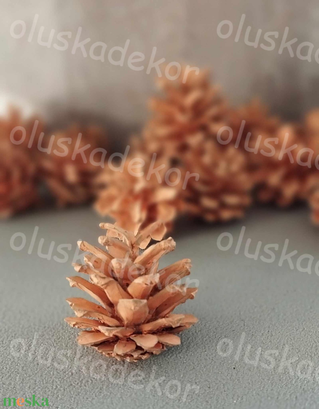 Rózsatoboz, natúr, falfestékes, dekornövény, száraztermés, több színben - kellékek & szerszámok - dekorációs kellékek - toboz - Meska.hu Rózsatoboz, natúr, falfestékes, dekornövény, száraztermés, több színben - kellékek & szerszámok - dekorációs kellékek - toboz - Meska.hu