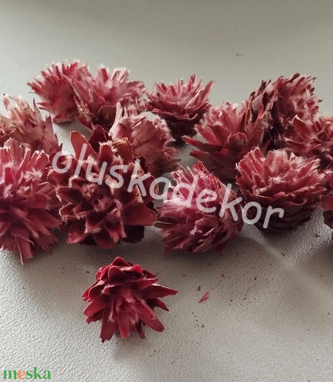 Plumosum fej, rózsaszín, termés, száraztermés, dekor, 3db/cs. - kellékek & szerszámok - dekorációs kellékek - egyéb kellékek - Meska.hu Plumosum fej, rózsaszín, termés, száraztermés, dekor, 3db/cs. - kellékek & szerszámok - dekorációs kellékek - egyéb kellékek - Meska.hu