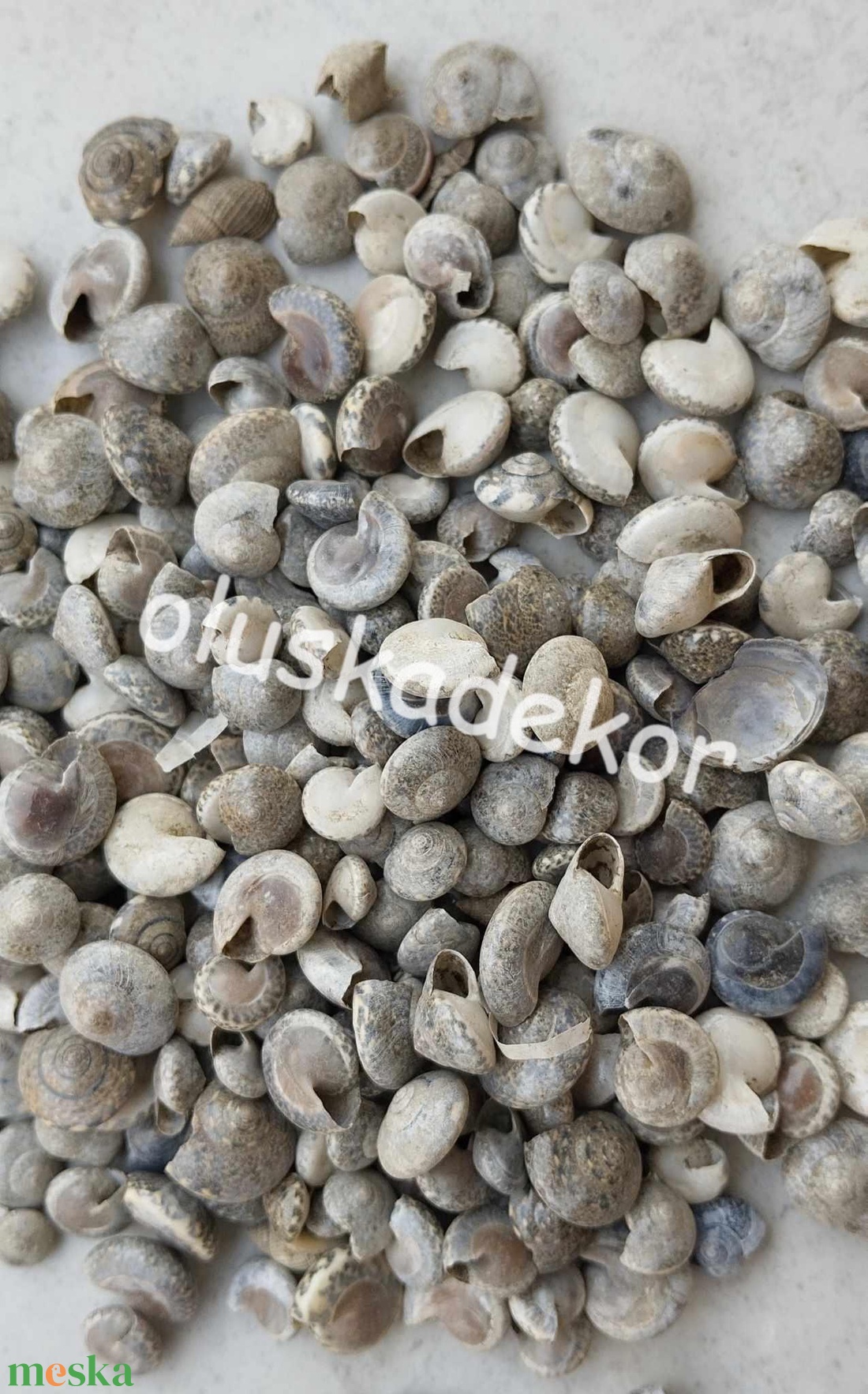 Csiga, tavaszi, nyári dekorációs alapanyag, 0,5 - 1,5cm, szürke, 50gr./cs. - kellékek & szerszámok - dekorációs kellékek - figurák - Meska.hu Csiga, tavaszi, nyári dekorációs alapanyag, 0,5 - 1,5cm, szürke, 50gr./cs. - kellékek & szerszámok - dekorációs kellékek - figurák - Meska.hu
