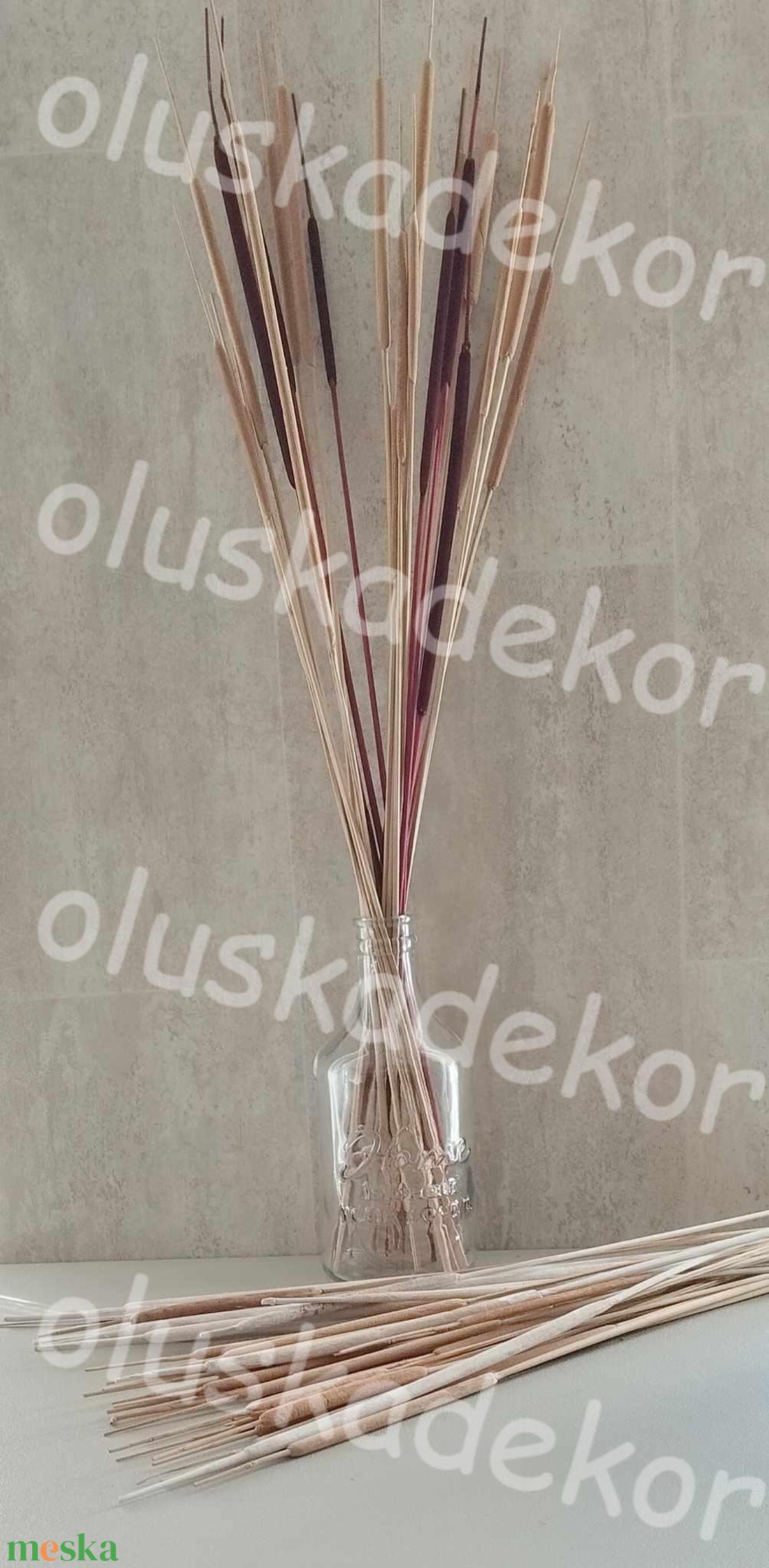 Indiai typha, szárított dekorációs növény, 65 - 80cm - kellékek & szerszámok - dekorációs kellékek - egyéb kellékek - Meska.hu