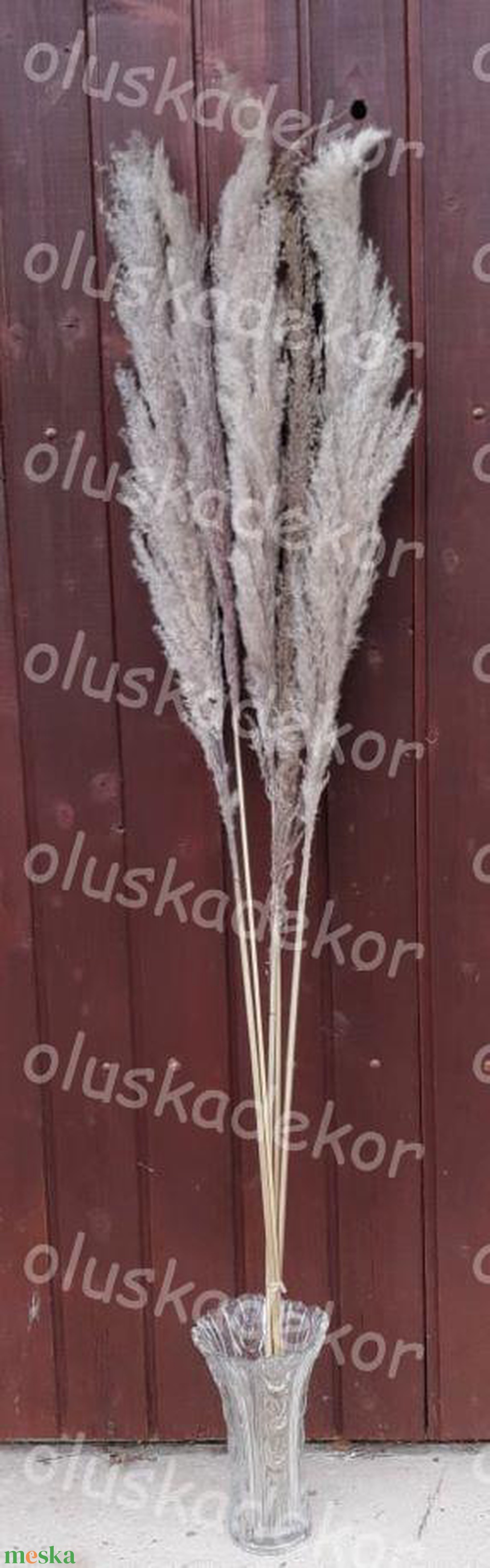 Pampafű 150cm natúr - kellékek & szerszámok - dekorációs kellékek - egyéb kellékek - Meska.hu Pampafű 150cm natúr - kellékek & szerszámok - dekorációs kellékek - egyéb kellékek - Meska.hu