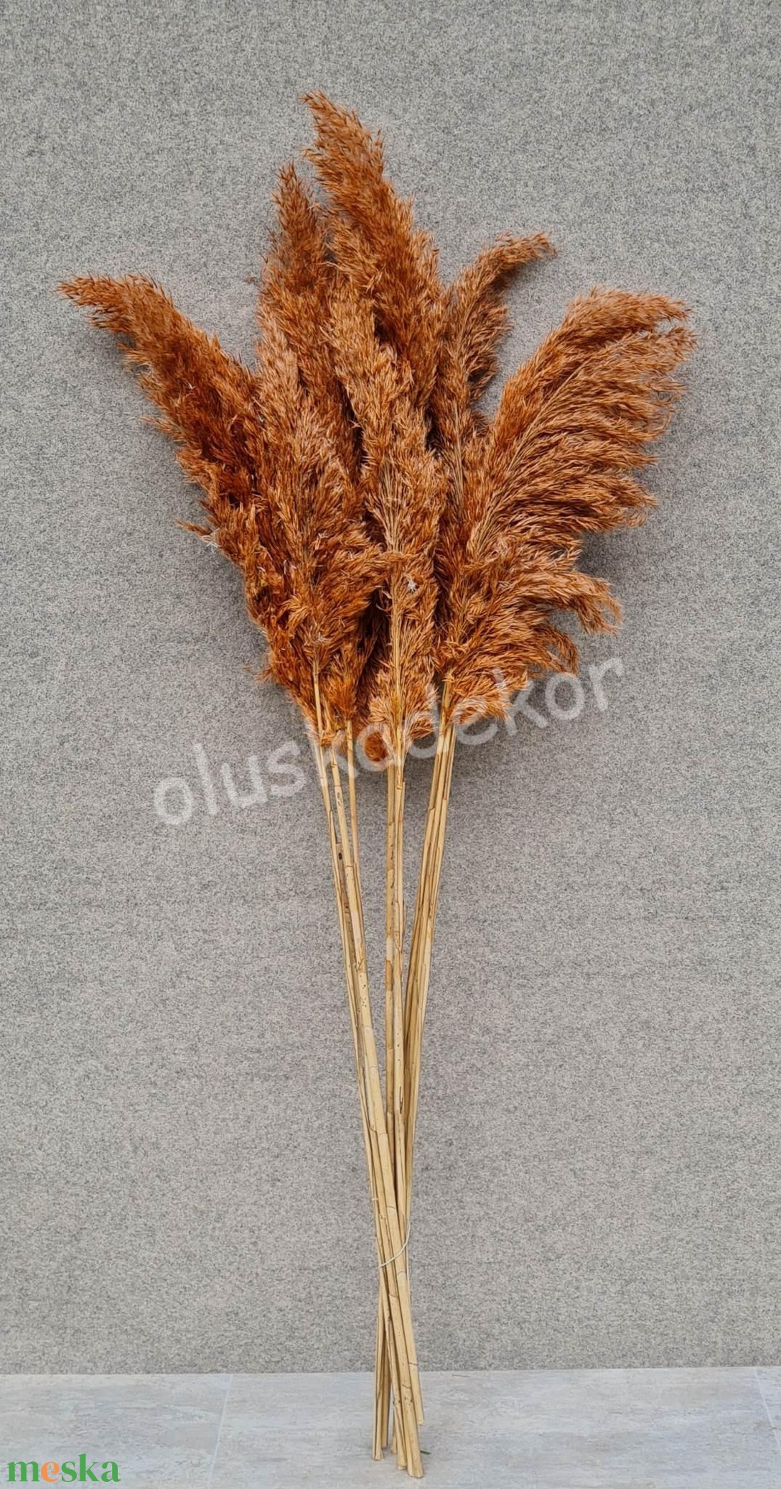 Pampafű, 2 színben 110 cm - kellékek & szerszámok - dekorációs kellékek - egyéb kellékek - Meska.hu Pampafű, 2 színben 110 cm - kellékek & szerszámok - dekorációs kellékek - egyéb kellékek - Meska.hu