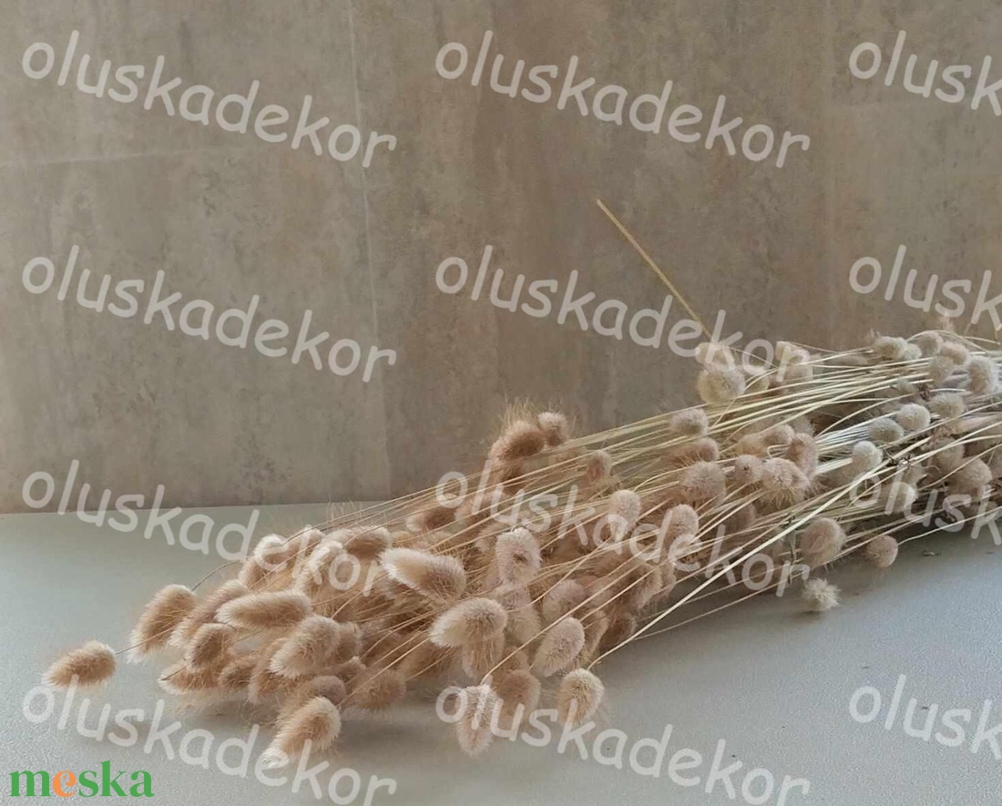 Lagurus, natúr 250gr./cs. - kellékek & szerszámok - dekorációs kellékek - egyéb kellékek - Meska.hu Lagurus, natúr 250gr./cs. - kellékek & szerszámok - dekorációs kellékek - egyéb kellékek - Meska.hu