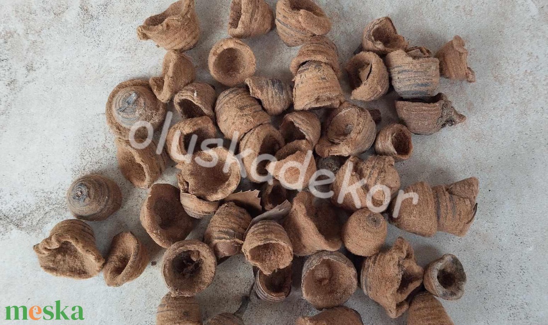 Tölgy kupak, 2 féle - kellékek & szerszámok - dekorációs kellékek - egyéb kellékek - Meska.hu Tölgy kupak, 2 féle - kellékek & szerszámok - dekorációs kellékek - egyéb kellékek - Meska.hu