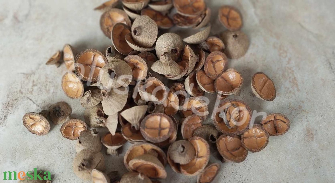 Keresztes sisaktermés , natúr 50gr./cs. - kellékek & szerszámok - dekorációs kellékek - egyéb kellékek - Meska.hu Keresztes sisaktermés , natúr 50gr./cs. - kellékek & szerszámok - dekorációs kellékek - egyéb kellékek - Meska.hu