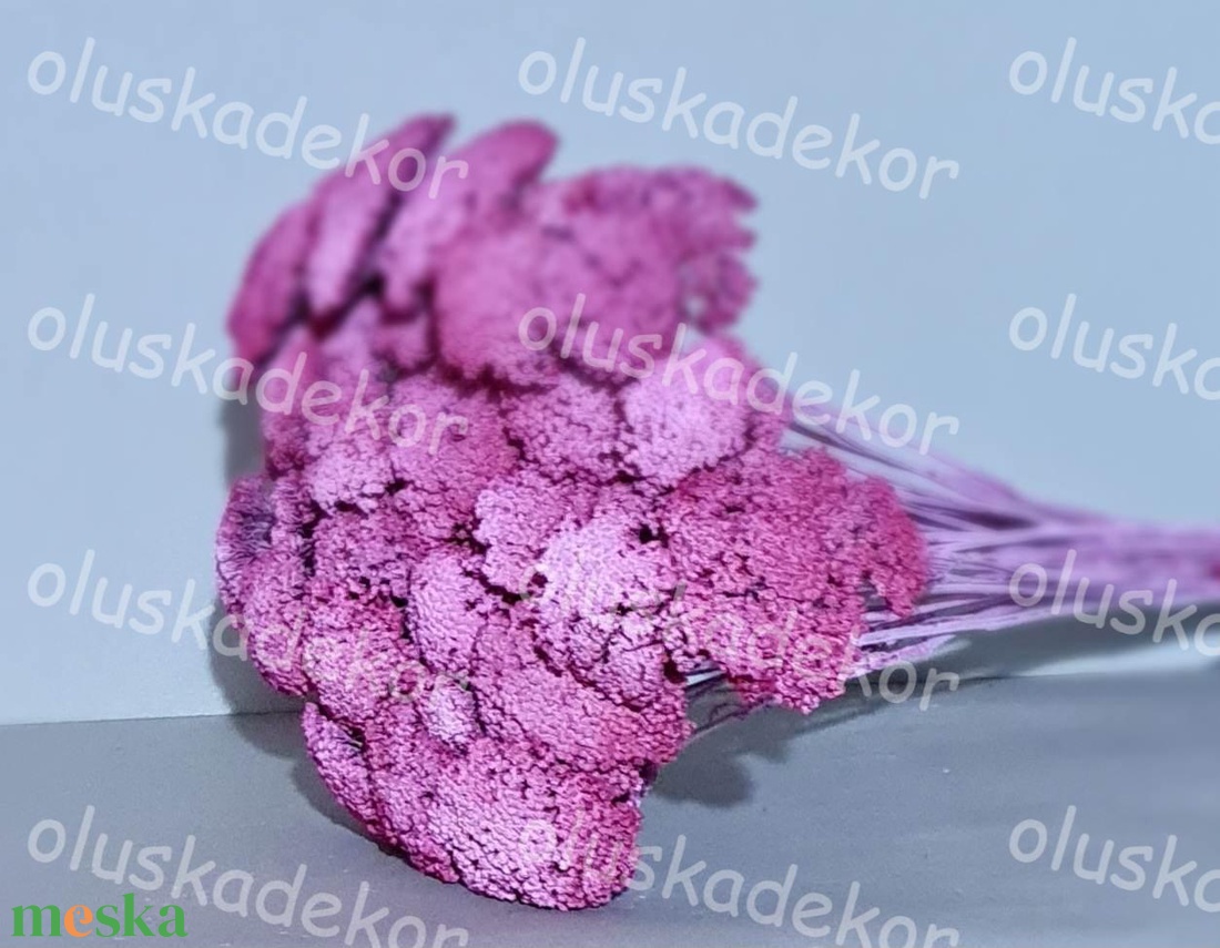 Achillea, Cickafark, natúr és színes, száraz dekor növény, 60 - 70cm - kellékek & szerszámok - dekorációs kellékek - egyéb kellékek - Meska.hu Achillea, Cickafark, natúr és színes, száraz dekor növény, 60 - 70cm - kellékek & szerszámok - dekorációs kellékek - egyéb kellékek - Meska.hu